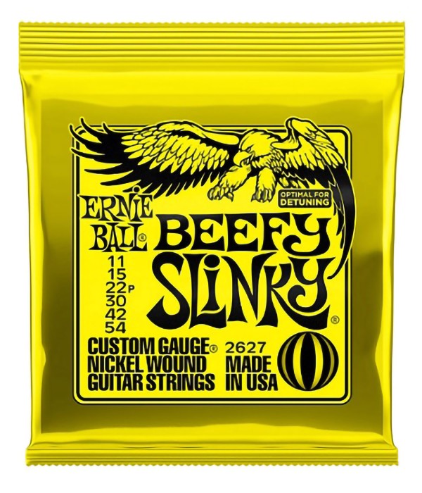 Ernie Ball 2627 Electric...