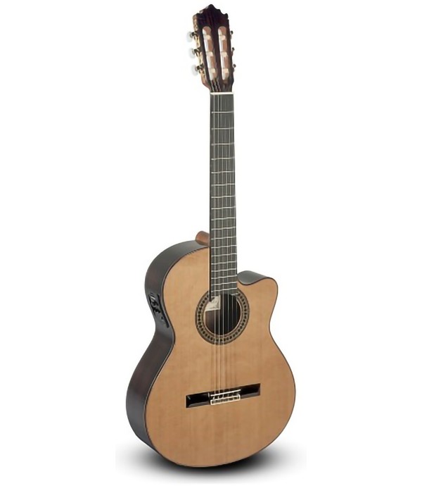 Paco Castillo 224CE with...