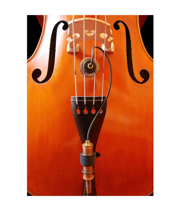 Ear Trumpet Labs Nadine