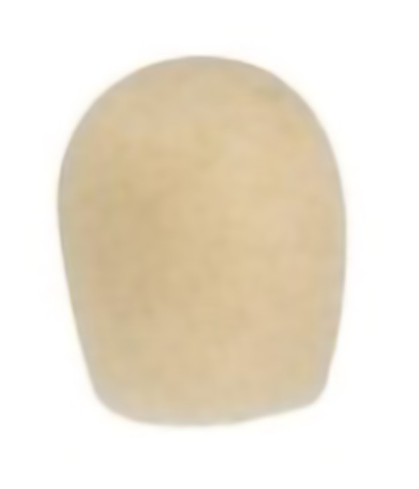 Proel WS3BE Small Windscreen 
