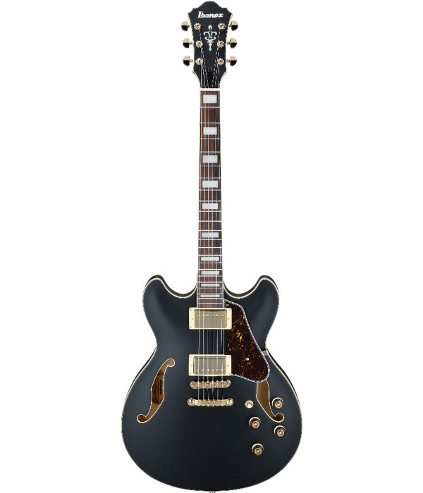 Ibanez AS73-GBKF Black Flat