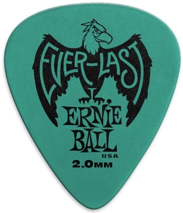 Ernie Ball 9196 Everlast...