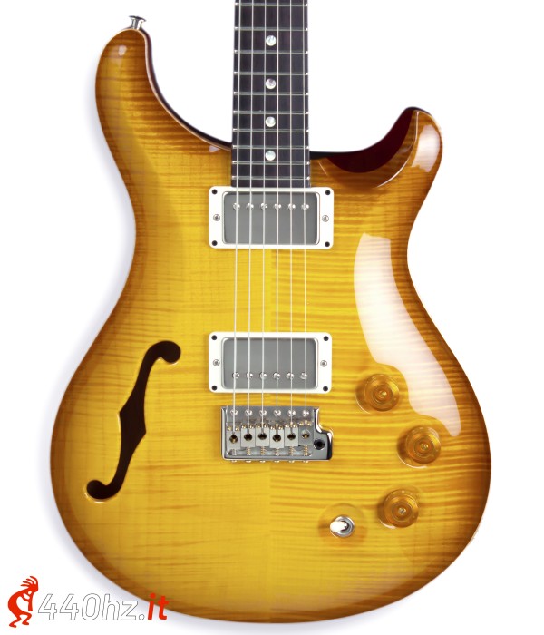PRS DGT Semi-Hollow Limited...