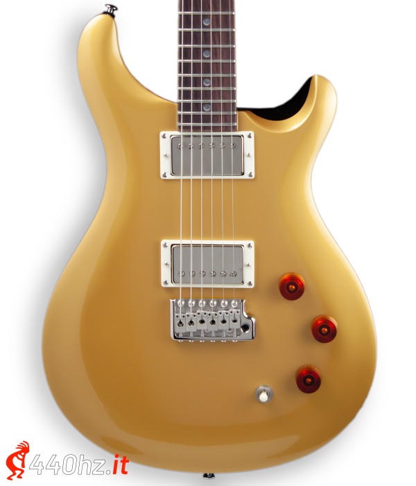 PRS SE DGT David Grissom...