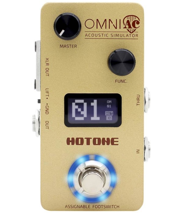 Hotone Omni AC Acoustic...