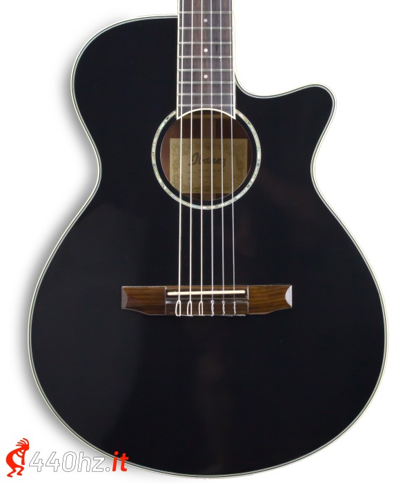 Ibanez AEG10NII-BK - USATO