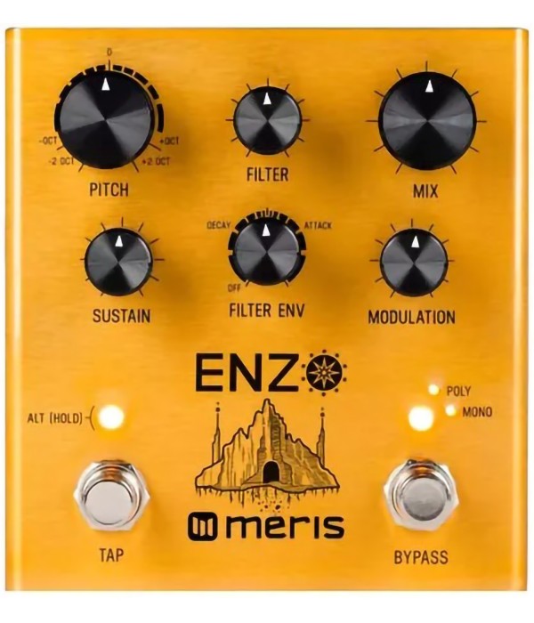 Meris Enzo Multi-Voice...