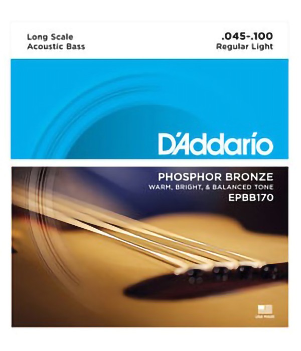 D'Addario EPBB170 Basso...