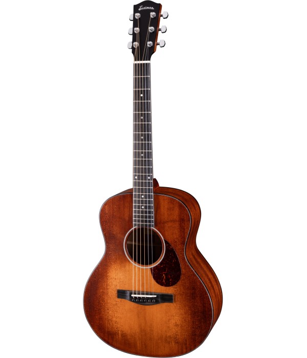 Eastman ACTG1 Travel Series...