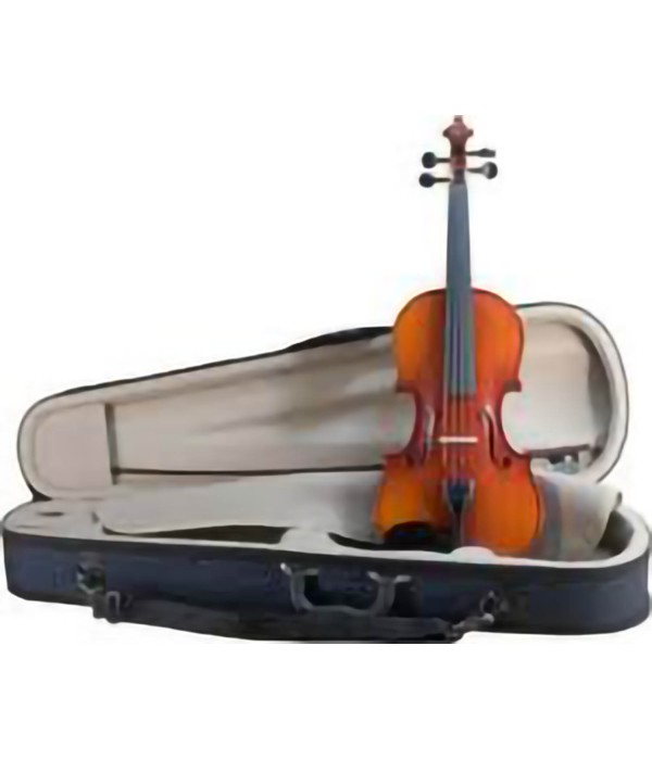 Johann Bruck P4010 Violin...
