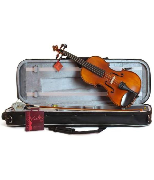 Domus VL4300 Liceo Violin 4/4
