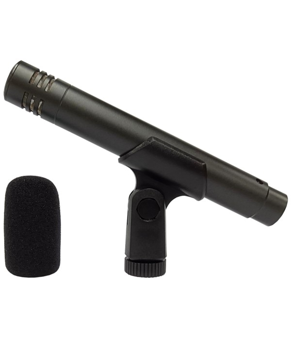 Acemic C-300