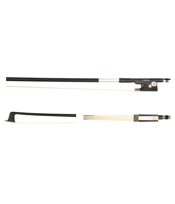 Eastman BL301 Black Carbon 4/4